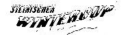 Logo 3. Bewerb steirischer Wintercup 2008